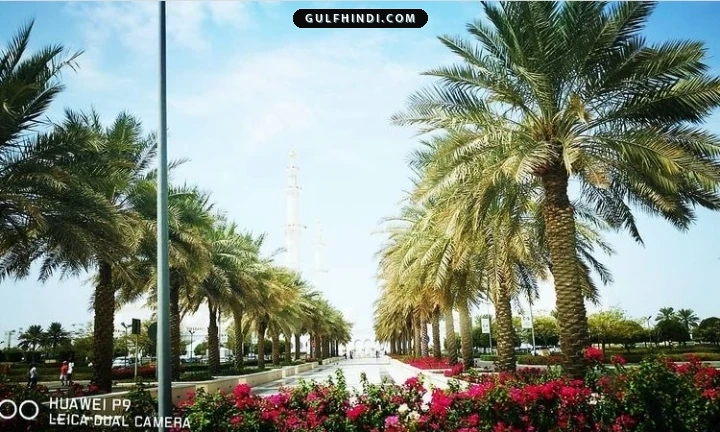 Abu Dhabi में शेख जायद मस्जिद में एंट्री हुई अब पेड, जान लीजिए कितना लगेगा नया शुल्क.