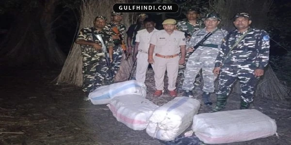 बिहार में एसएसबी की बड़ी कार्रवाई, नेपाल सीमा से 118 किलो गांजा बरामद.