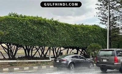 Saudi National Day: सऊदी अरब में नेशनल डे पर भारी बारिश और तूफान का अलर्ट जारी