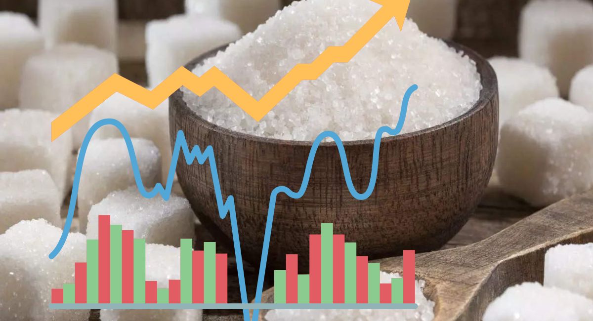 Sbec Sugar Ltd stock