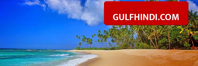 Sri Lanka Free Visa Rule: श्रीलंका सरकार का बड़ा फैसला, भारत और UAE समेत 40 देशों के लोगों को मिलेगा फ्री वीज़ा, नया नियम हुआ लागू