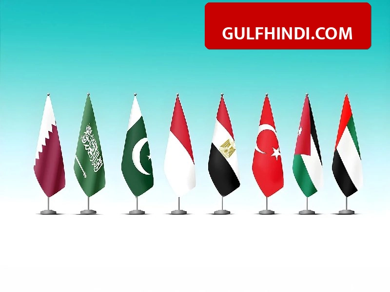 UAE समेत 8 देशों ने इजरायली मंत्री के खिलाफ खोला मोर्चा, गाजा जा रहे कार्यकर्ताओं के अपमान पर जताया कड़ा विरोध.