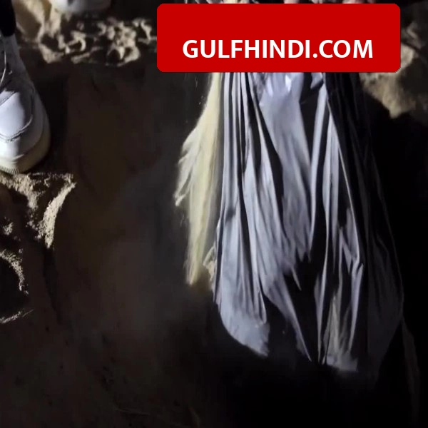 Kuwait में पुलिस की बड़ी रेड, फार्म हाउस में चल रही थी ड्रग्स की फैक्ट्री, 1 लाख कैप्टागन गोलियां बरामद