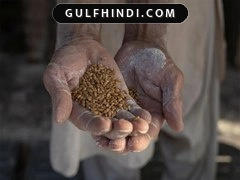 Rawalpindi और Islamabad में आटे का संकट, Flour Mills Association ने दी चेतावनी
